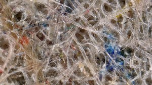Mikroskopische Aufnahme von trockenzerfasertem Altpapier