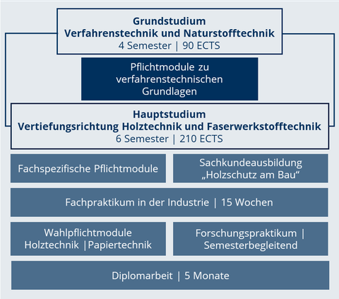 Das Bild zeigt in einem Ablaufschema den Aufbau des Studiums