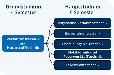 Da Bild zeigt den Ablauf des Studiums Verfahrenstechnik und Naturstofftechnik mit dem 2 jährigen Grundstudium und den sich anschließenden Vertiefungsrichtungen