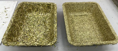 Das Bild zeigt zwei Formkörper aus Luzerneheu. Die Formkörper sind an Verpackungsschalen aus dem Kleinobstbereich angelehnt und wurden aus verschiedenen Aufschlussgraden des Heus hergestellt.