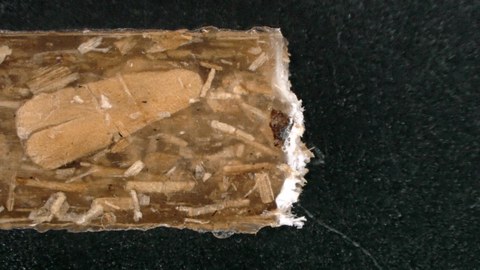 Die Aufnahme zeigt die Bruchkante eines Zugprüfstabs 30-fach vergrößert unterm Mikroskop. Die einzelnen Fasern im Polymer des Prüfkörpers und einzelne Faserausrisse sind zu erkennen.
