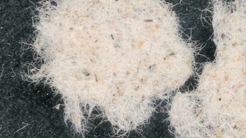 Faserstoff aus Siebgut Primärschlamm 16 μm