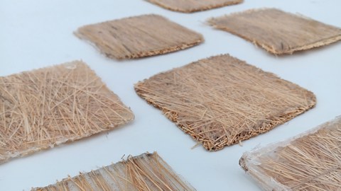 Pressproben aus technischer Holzwolle und Biopolymer