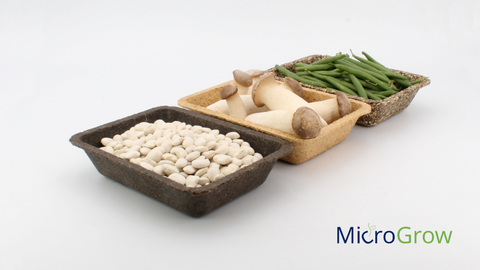 3 Verpackungsschalen aus Reststoffen, gefüllt mit Pilzen, Erbsen und Bohnen