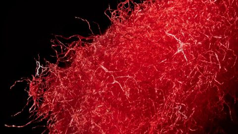 Das Bild zeigt recycelte Fasern von einer roten Serviette unter dem Mikroskop.