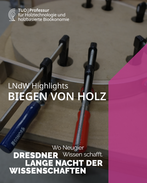 LNdW | Holz biegen