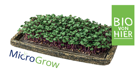 Das Bild zeigt eine Schale, gepresst aus geschredderter Luzerne. In der Schale wachsen Microgreens. Ein Schriftzug über der Schale sagt: Bio von Hier. Darunter ist der Projekttitel: MicroGrow. 