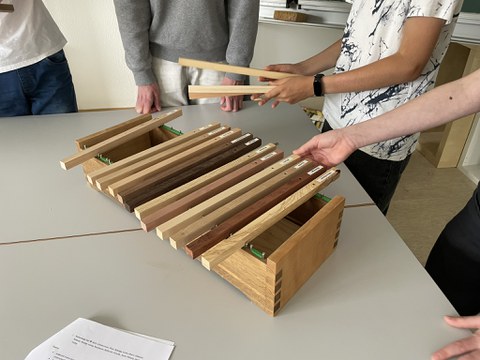 Man sieht verschiedene Holzstäbe