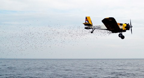 Das Bild zeigt ein Flugzeug, dass Ölbinder über dem Meer abwirft