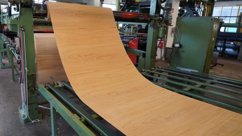 Tangentialschnitt Furnierschälen