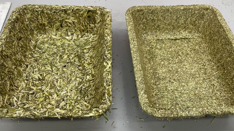 Das Bild zeigt zwei Formkörper aus Luzerneheu. Die Formkörper sind an Verpackungsschalen aus dem Kleinobstbereich angelehnt und wurden aus verschiedenen Aufschlussgraden des Heus hergestellt. 