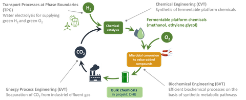 Carboncycle_eng