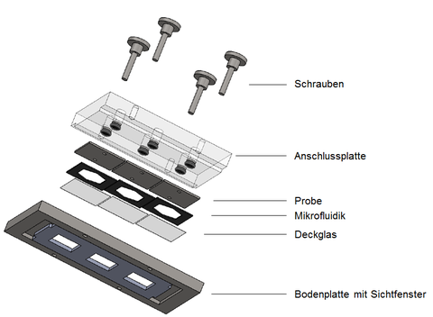 Biofilm_Kammer_drei