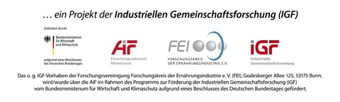 BMWK-AiF-FEI-IGF_Förderhinweis