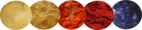 FungiColor Logo