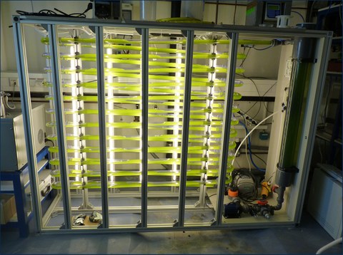 Technical scale photobioreactor system (30 Liters)