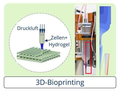 Green Bioprinting