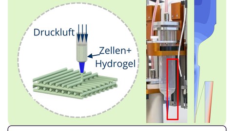 Green Bioprinting