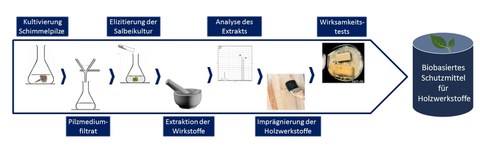 SchuPlaHolz_Schema