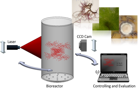 Schematischer Aufbau des Sensorsystems