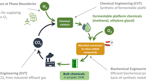 Carboncycle_eng