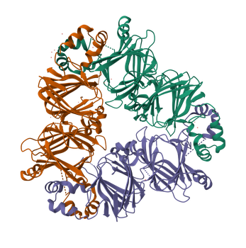 LT_Protein_Vicilin.png