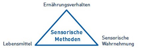 Sensorik