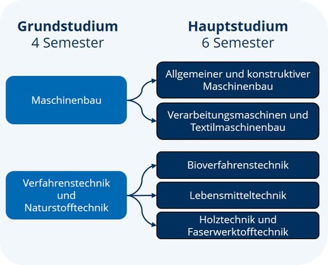 Grafik Studieninteressierte.jpg