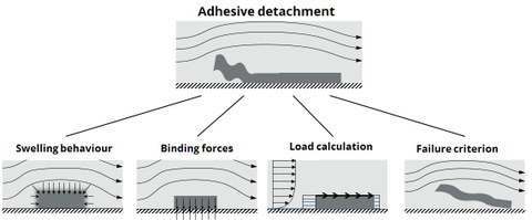 Grafik. Modellierungsschritte zur Reinigungssimulation. "Adhesive detachement" modelliert durch "Swelling behavior", "Binding forces", "Load calculation" , "Failure criterion"