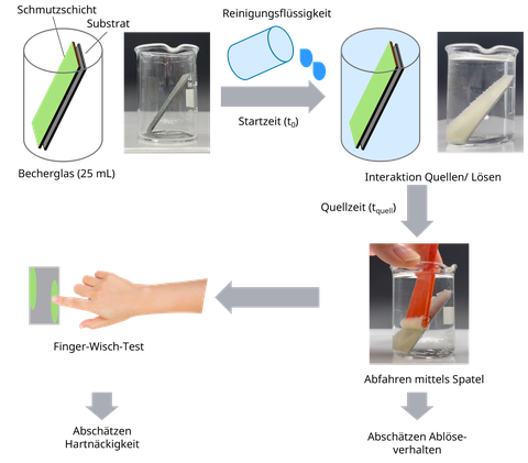 Ablauf zur Reinigung oder Entfernung von Material von einer beschichteten Platte im Becherglas. Die Probe wird eingetaucht, quillt auf und wird anschließend mithilfe eines Werkzeugs abgezogen. Am Ende wird das Resultat mit der Hand geprüft bzw. berührt.