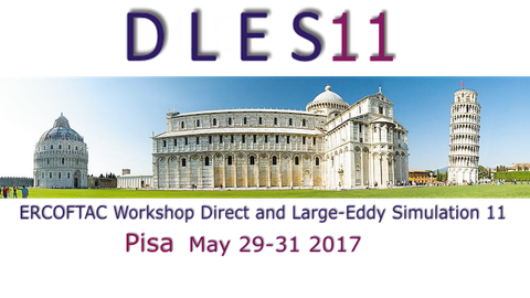 DLES11