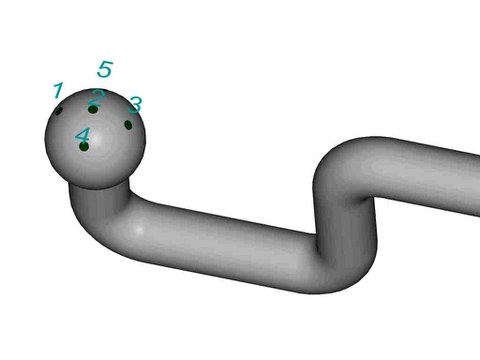 5-loch-Sonde schematisch