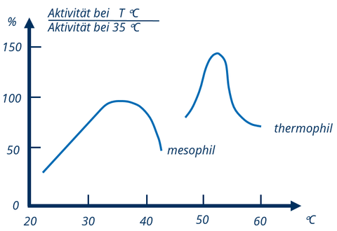 Aktivität von Bakterien im Biogasreaktor