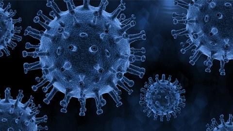Das Foto zeigt den Corona-Virus Covid-19.