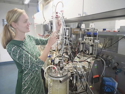 Auf dem Bild ist eine Wissenschaftlerin an einem Bioreaktor zu sehen