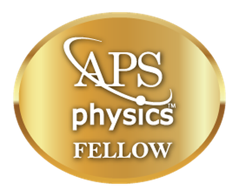 Logo des APS Physics Fellow Programmes