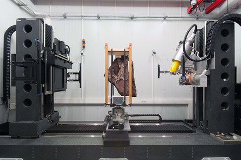 Ingenieure der TU Dresden haben 300 Millionen Jahre alte Ur-Echse gescannt