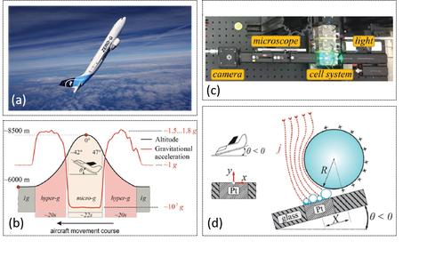 Zero-g Airbus für Experimente unter Schwerelosigkeit. Verfahrenstechnik studieren.