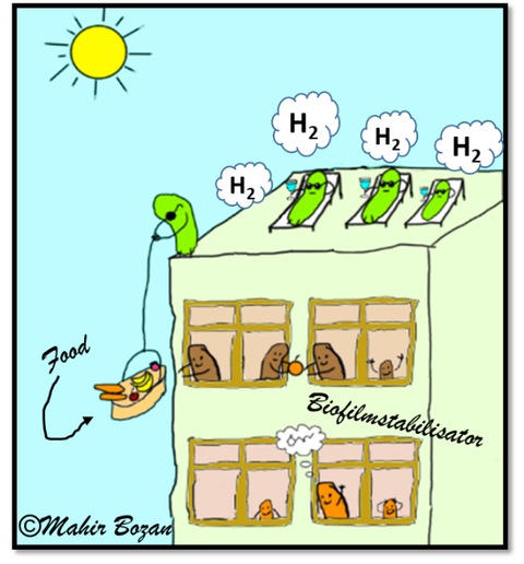 Illustration der Produktion von Wasserstoff. Verfahrenstechnik studieren.