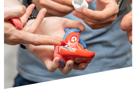 Auf dem bild sind Studierende im Studiengang Bioinspired Material and Fiber Systems for Medical and Lightweight Applications zu sehen
