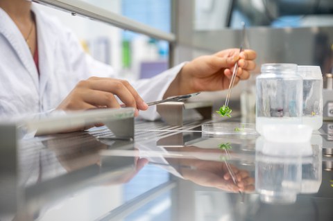 Auf dem Bild sind Studierende der Verfahrenstechnik und Naturstofftechnik an der TU Dresden zu sehen, die in einer Praxissituation innerhalb des Studiengangs fotografiert worden sind