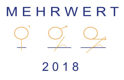 Die Grafik zeigt das Logo des Projektes MEHRWERT. In blauen Großbuchstaben steht das Wort Mehrwert, darunter die drei Geschlechterzeichen in orange und wiederum darunter die Jahreszahl 2018.