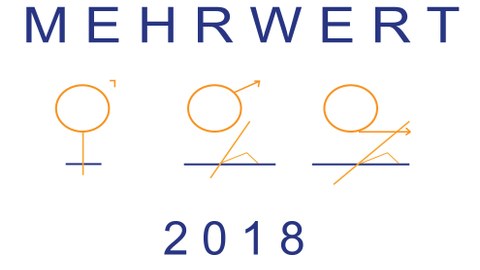 Die Grafik zeigt das Logo des Projektes MEHRWERT. In blauen Großbuchstaben steht das Wort Mehrwert, darunter die drei Geschlechterzeichen in orange und wiederum darunter die Jahreszahl 2018.