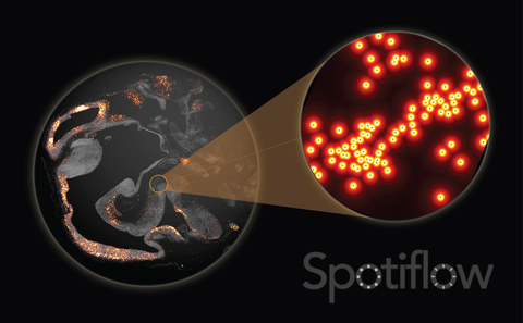 Visualisierung von Spotiflow