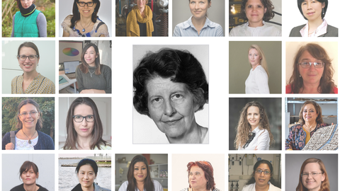 Collage aus Porträts der ehemaligen Trefftz-Gastprofessorin mit Foto von Eleonore Trefftz im Zentrum