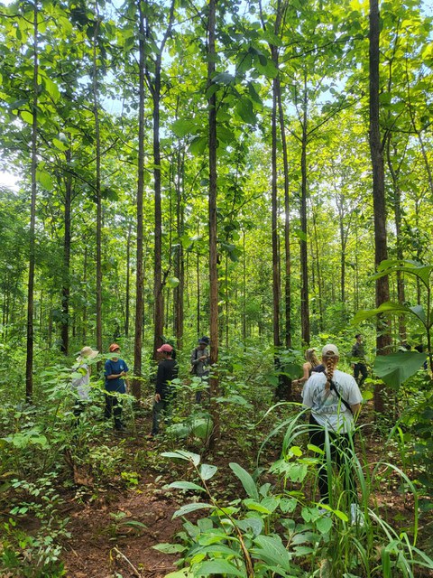 Reserchers in the forest.