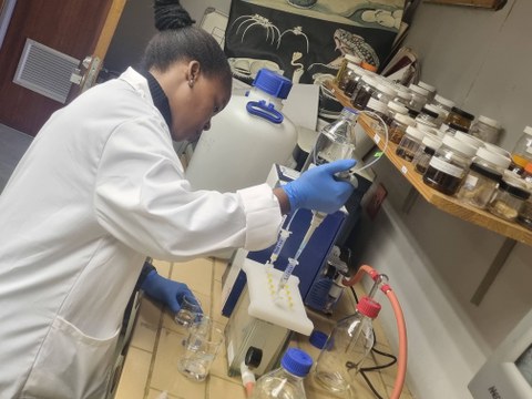 Researcher in a lab.