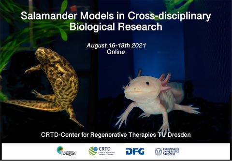 Poster Salamander models in cross disciplinary biological research meeting