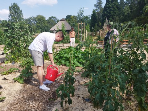 Praxiseinsatz im Botanischen Garten im Projekt "BildungsAcker"