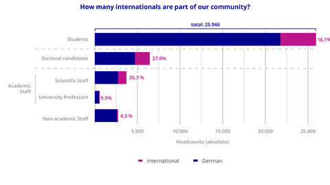 International Profile of TUD